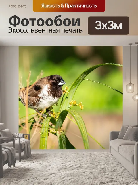 Фотообои Бронзового человечка