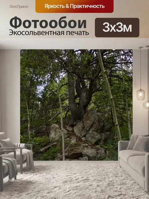 Фотообои Деревенское Дерево