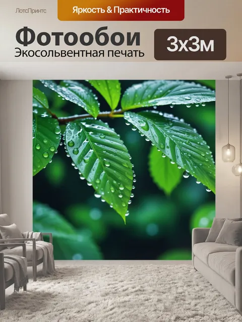Фотообои лесная свежесть после дождя