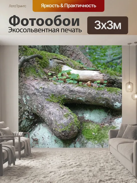 Фотообои Дерево