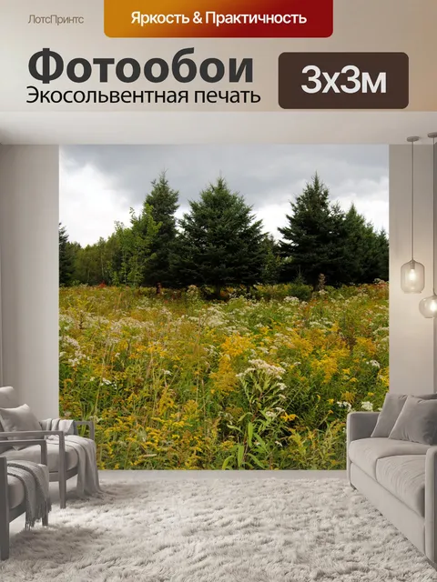 Фотообои Паровых полях