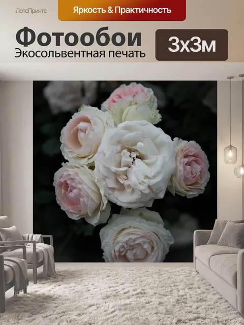 Фотообои Роза