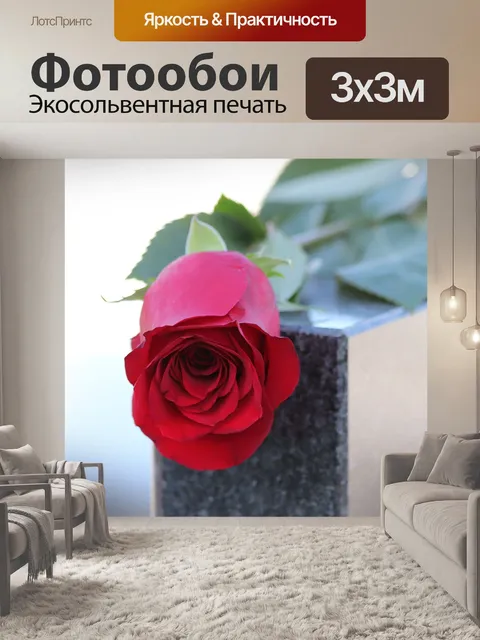 Фотообои Красная роза