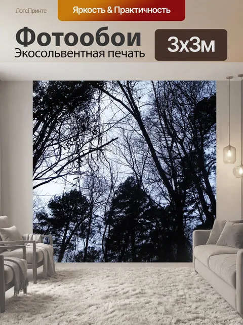 Фотообои Переменная деревья