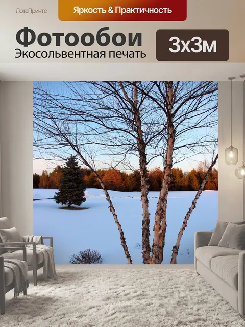 Фотообои Зима