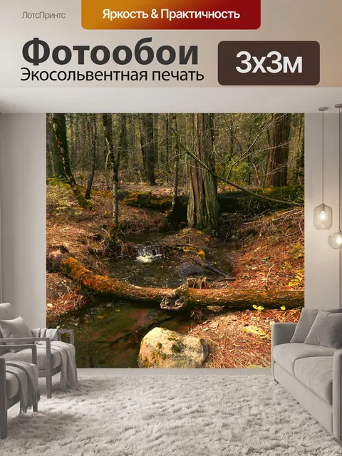 Фотообои Поток в лесу