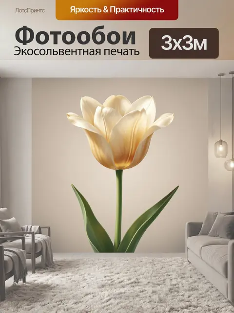 Фотообои Кремовый тюльпан на светлом фоне