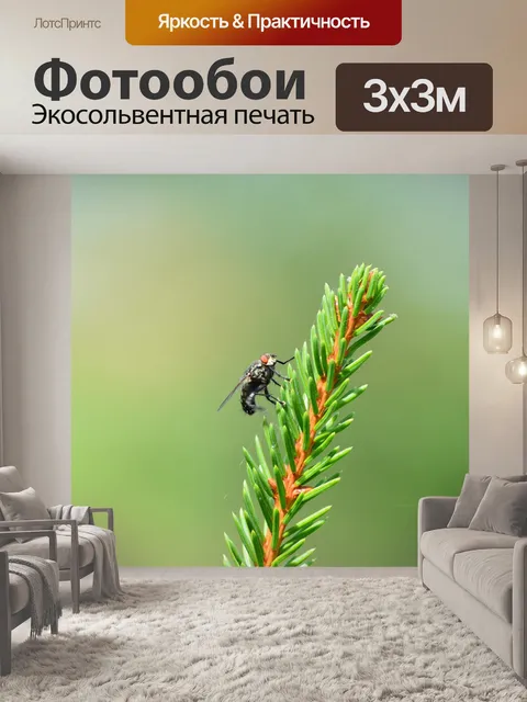 Фотообои Летать