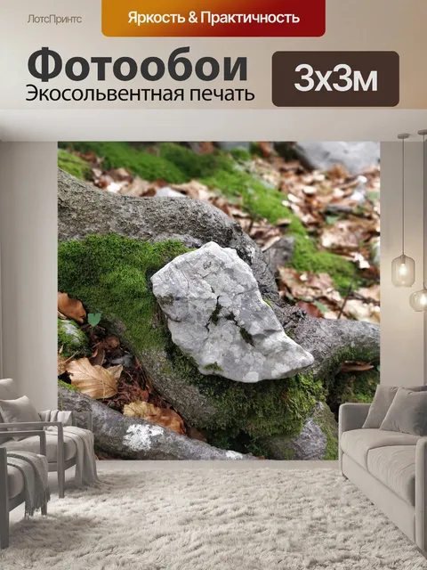 Фотообои Природа