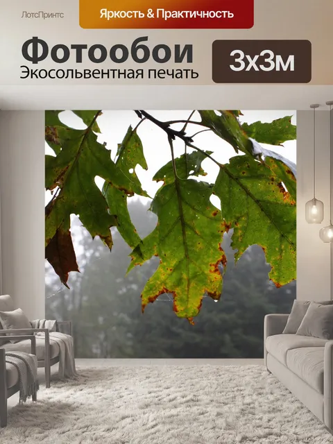 Фотообои Листья