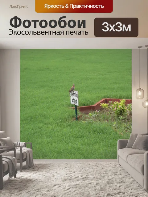 Фотообои Тадж красоты