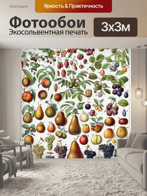 Фотообои Винтажный постер с фруктами