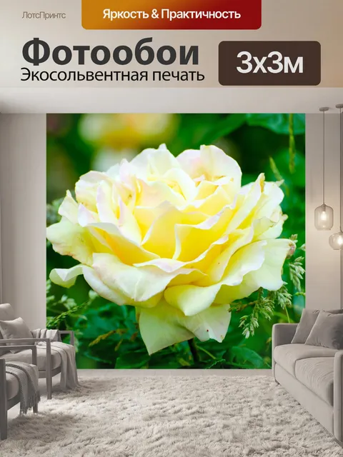 Фотообои Цветок