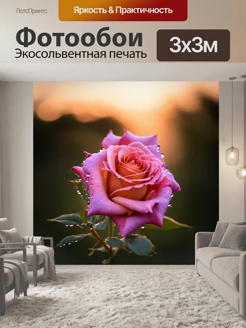 Фотообои розовая роза, окруженная каплями росы на нежном фоне заката, изображенная в акварельной технике
