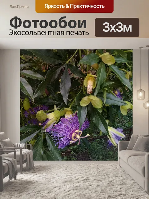 Фотообои Фиолетовый цветок страсти