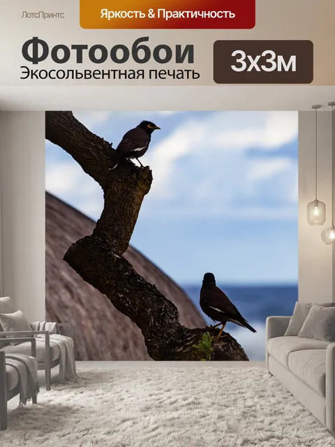 Фотообои Маврикий майна птица