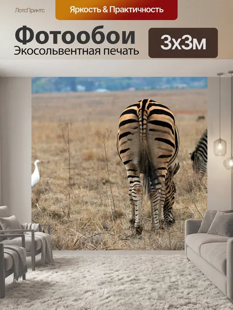 Фотообои Зебра белая цапля с