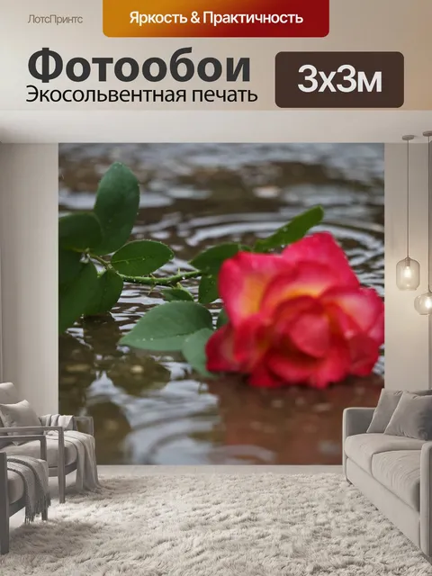 Фотообои Красный желтая роза в дожде