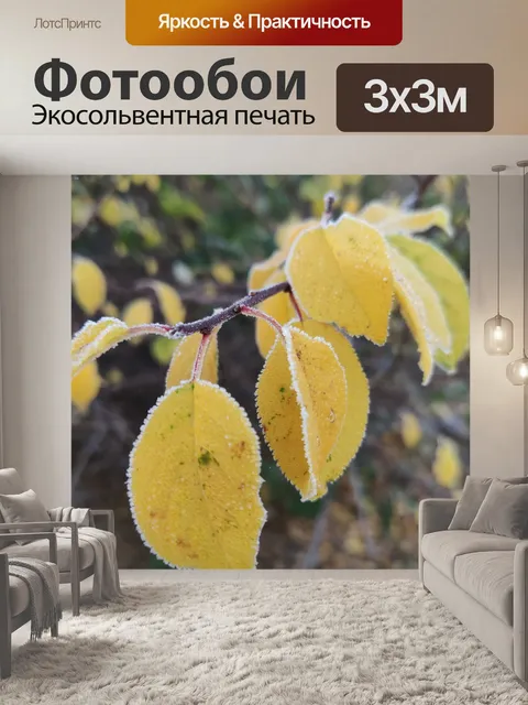 Фотообои Листья