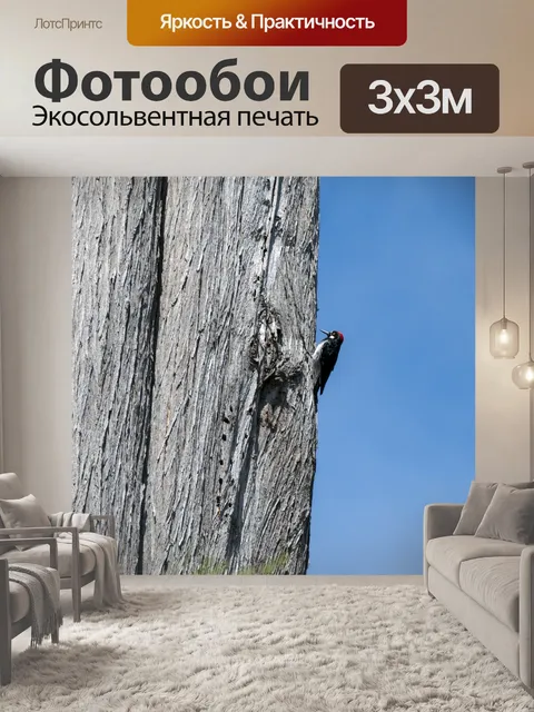 Фотообои Дятел