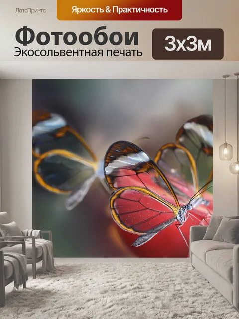 Фотообои Бабочка