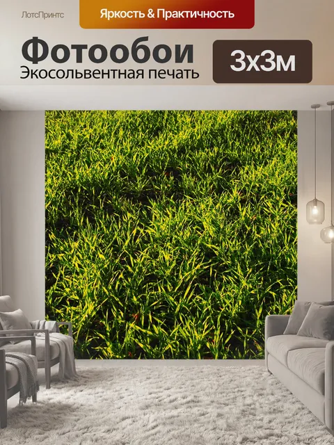 Фотообои Семя