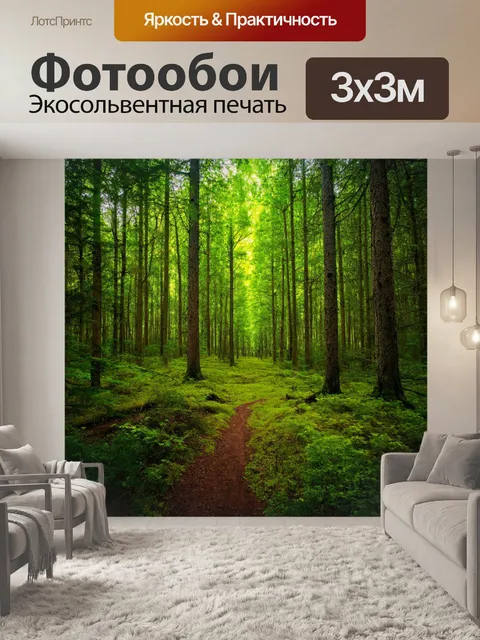 Фотообои лес с иллюзией глубины и спокойствием