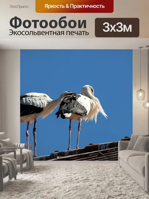 Фотообои Аист