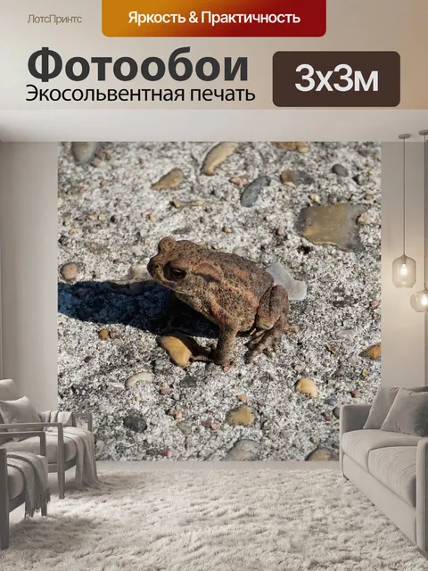 Фотообои Животное