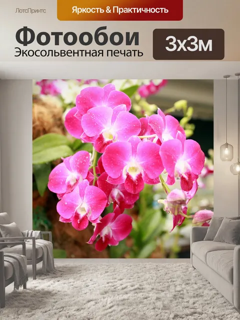 Фотообои Красный цветок орхидеи цветок