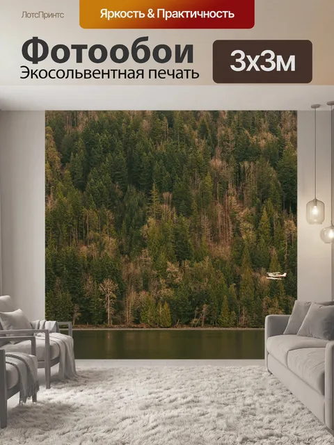 Фотообои Море самолет