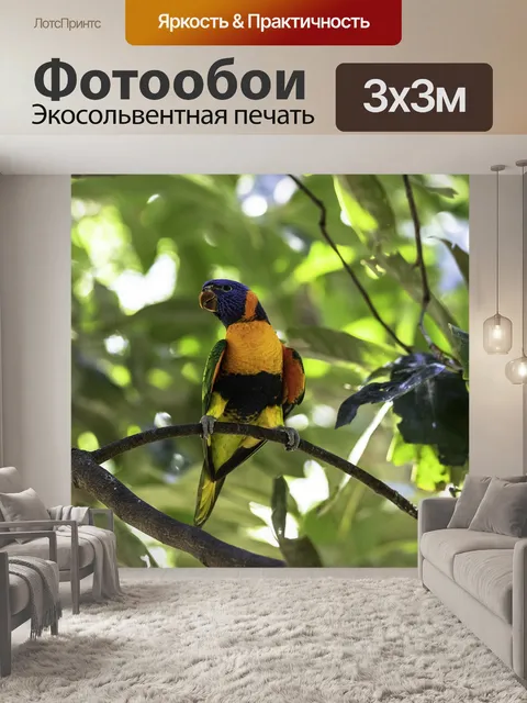 Фотообои Птицы
