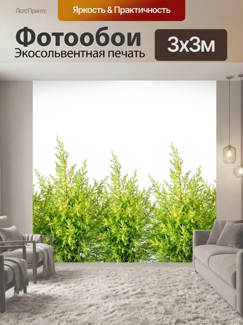 Фотообои Малые сосны