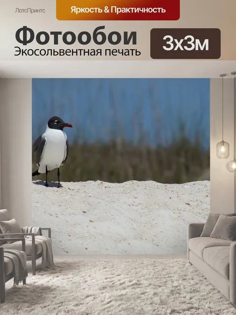 Фотообои Птица