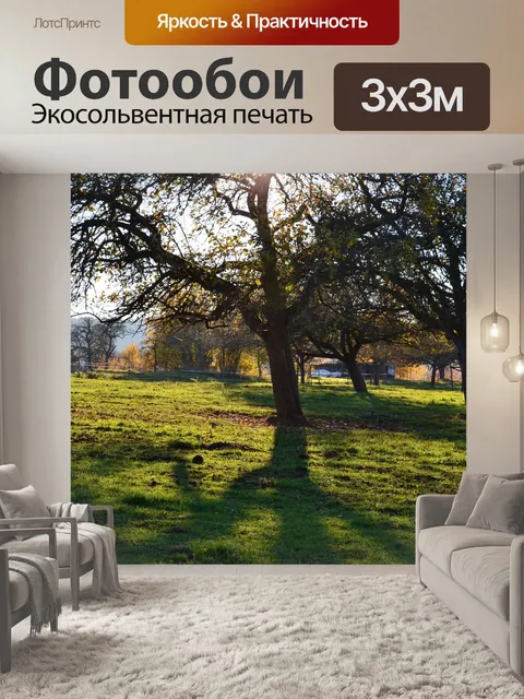 Фотообои Дерево