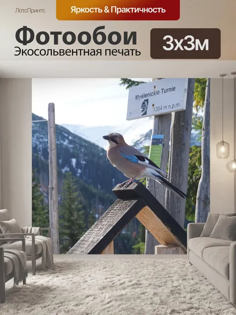 Фотообои Птица