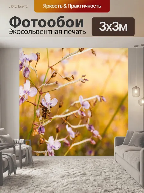 Фотообои Трава цветочное поле, полевые цветы