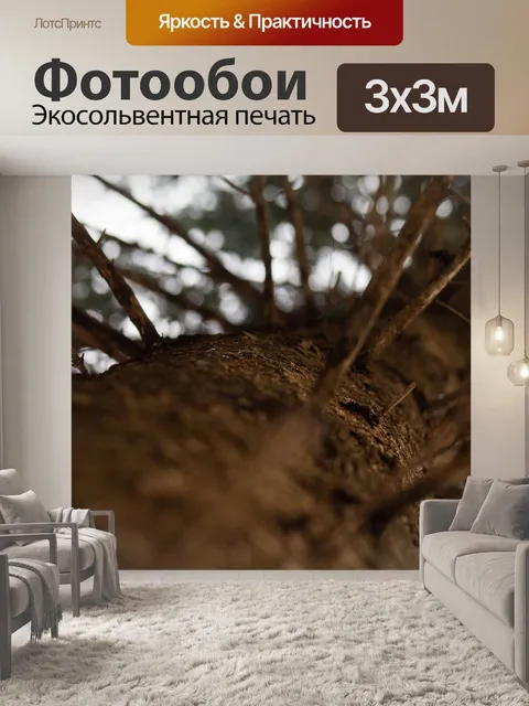 Фотообои Артистический