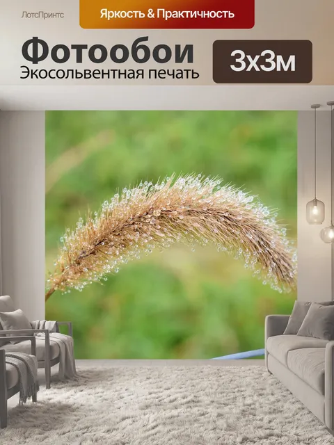 Фотообои Трава