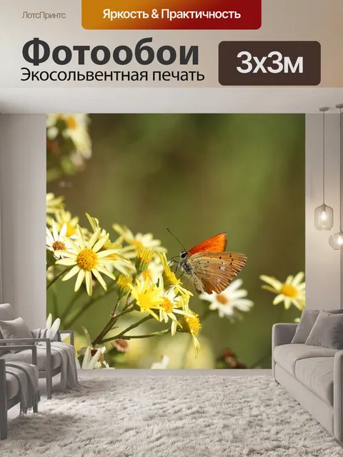 Фотообои Бабочка
