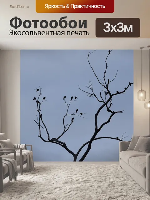Фотообои Птицы
