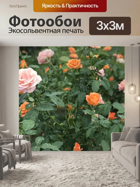 Фотообои Розы