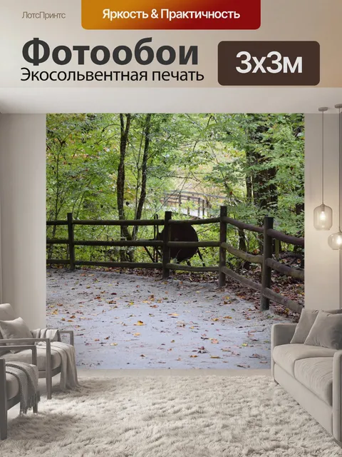 Фотообои След болота