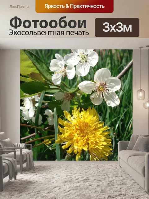 Фотообои Одуванчик
