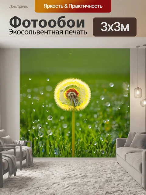 Фотообои одуванчик, с яркими желтыми лепестками, стоит на фоне укутанного в росу травяного поля