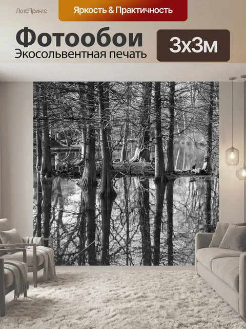Фотообои Деревья