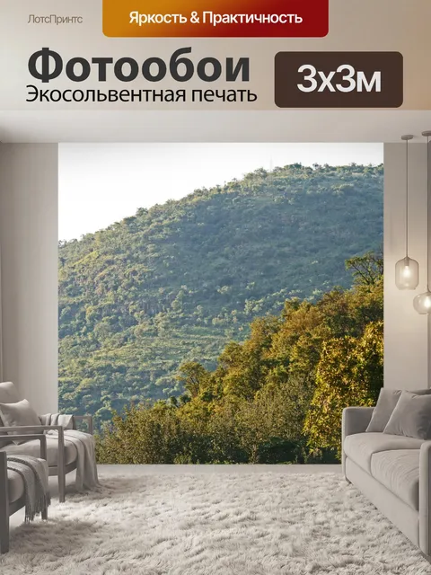 Фотообои холм и растительность