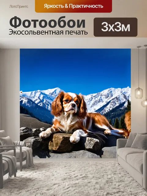 Фотообои восхитительная собака, кавалер кинг чарльз спаниель, отдыхает на фоне величественных гор, покрытых снегом