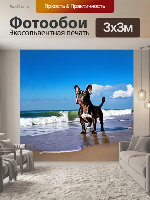 Фотообои французский бульдог с удивленно поднятой головой стоит на берегу моря, откуда доносятся звуки волн