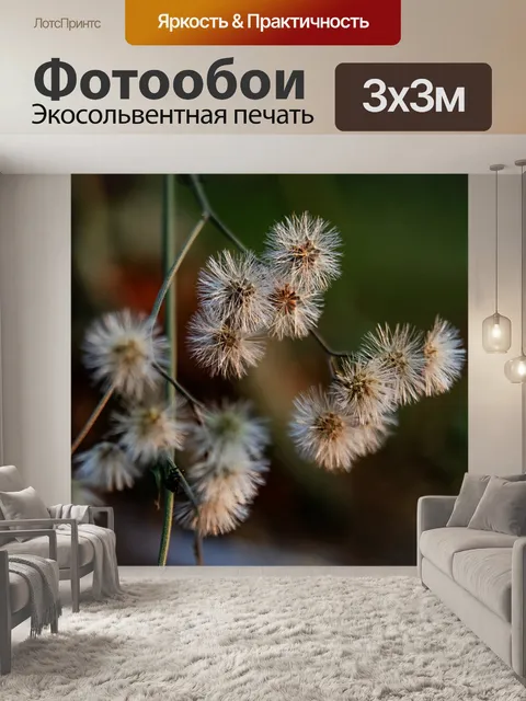 Фотообои Цветы